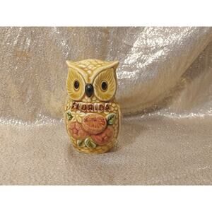 (1) Vintage Salt Shaker Florida Souvenir Ceramic Owl Replacement Piece